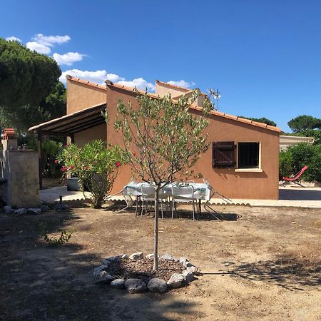 Charmante Maison Dans Les Pins Proche De La Plage Villa Saint-Cyprien Kültér fotó